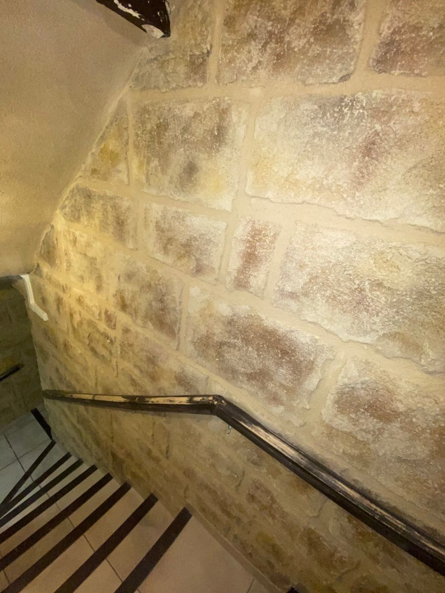 renovation mur pierre platre salpetre